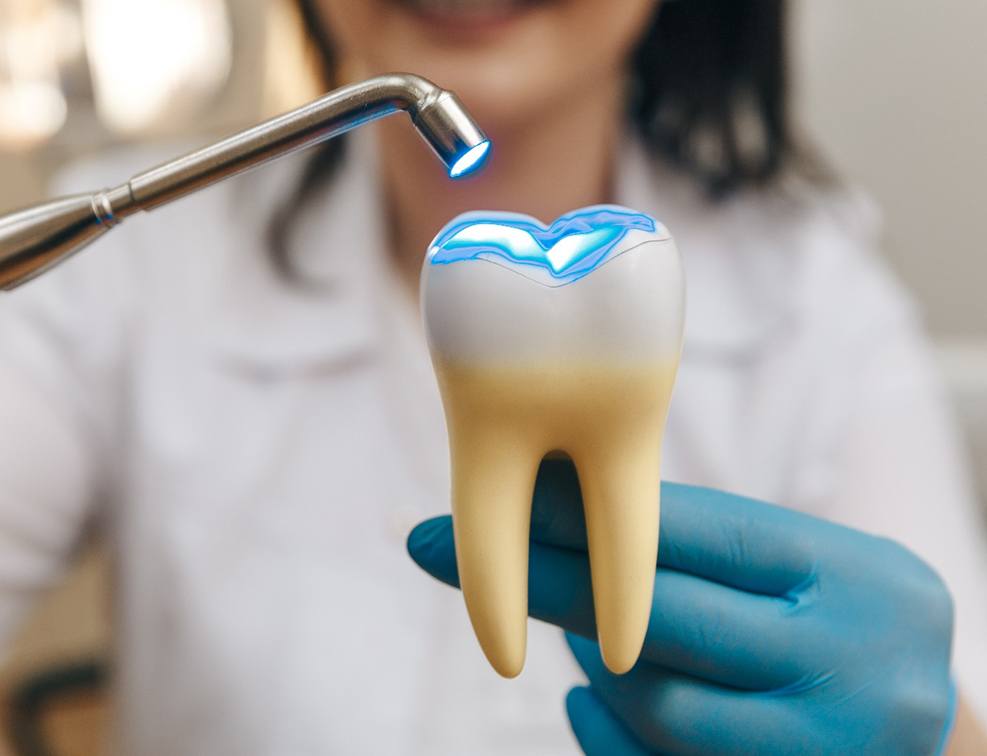 Person shining light on a model of a tooth